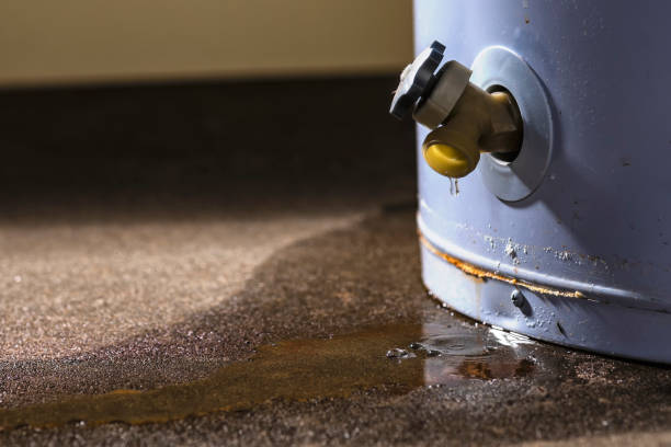 Best Mold removal after water damage  in Everson, WA