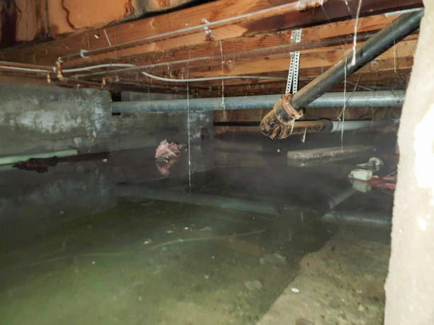 Best Residential water damage restoration  in Everson, WA