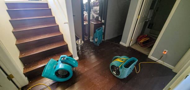 Best Ceiling water damage repair  in Everson, WA