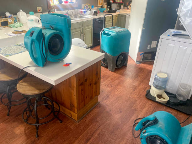 Best 24/7 water damage repair  in Everson, WA