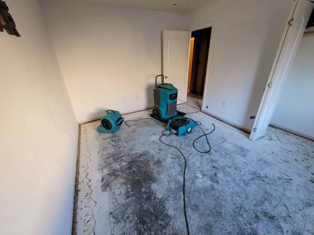 Best Flood damage cleanup  in Everson, WA