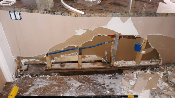 Best Flood restoration services  in Everson, WA