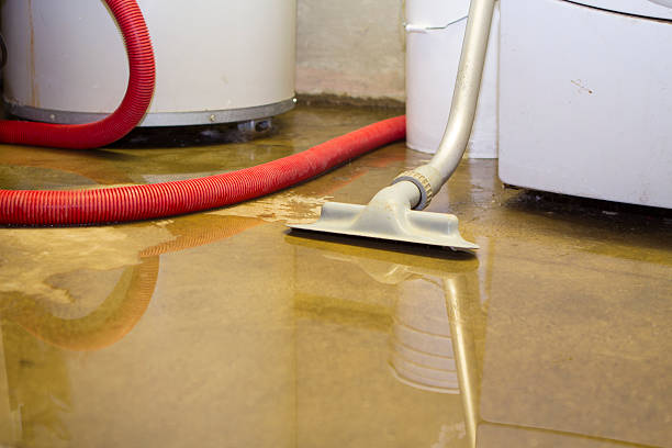 Trusted WA Water damage restoration Experts