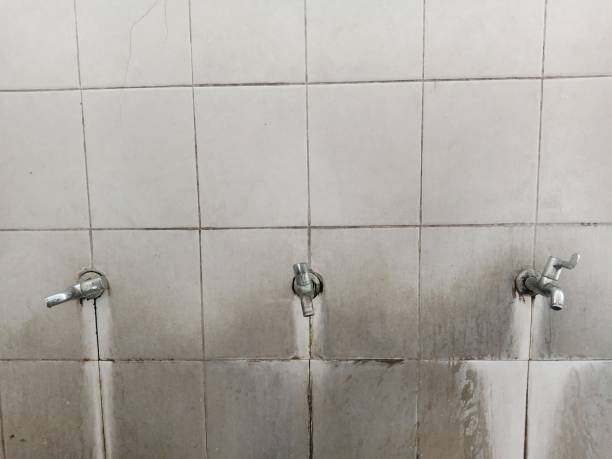 Best 24-hour water damage restoration  in Everson, WA