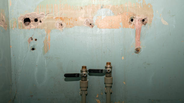 Best Fire Damage Restoration  in Everson, WA