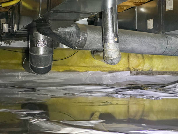 Best Local water damage restoration  in Everson, WA