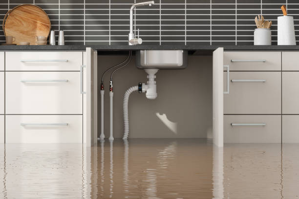 Best Water damage restoration near me  in Everson, WA