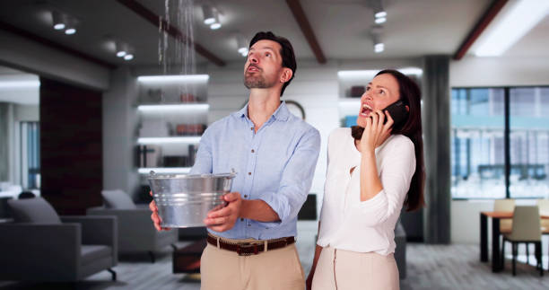 Best Carpet water damage restoration  in Everson, WA